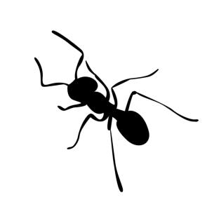 Big Ant